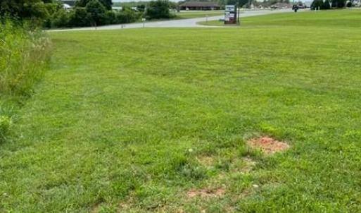 Photo #3 of Diamond Hill, Moneta, VA 1.4 acres