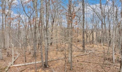 Photo #30 of Clearview Road, Bedford, VA 27.5 acres