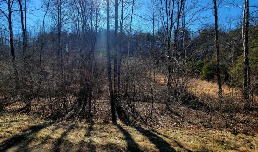 Photo #4 of Watt Abbitt Road, Appomattox, VA 26.5 acres