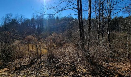 Photo #10 of Watt Abbitt Road, Appomattox, VA 26.5 acres