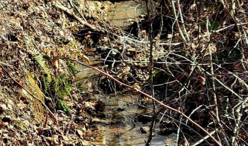 Photo #7 of Watt Abbitt Road, Appomattox, VA 26.5 acres