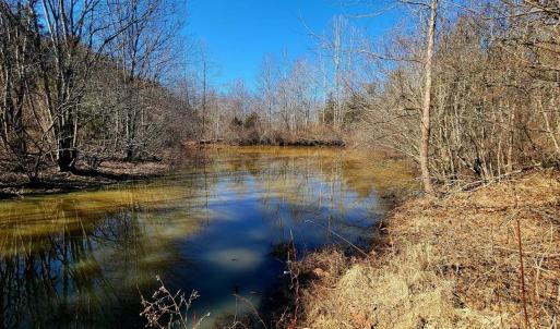 Photo #11 of Watt Abbitt Road, Appomattox, VA 26.5 acres