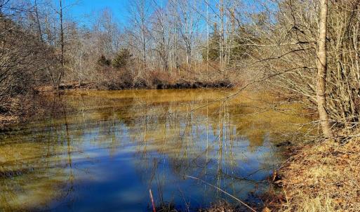 Photo #3 of Watt Abbitt Road, Appomattox, VA 26.5 acres