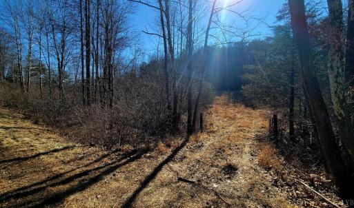 Photo #2 of Watt Abbitt Road, Appomattox, VA 26.5 acres