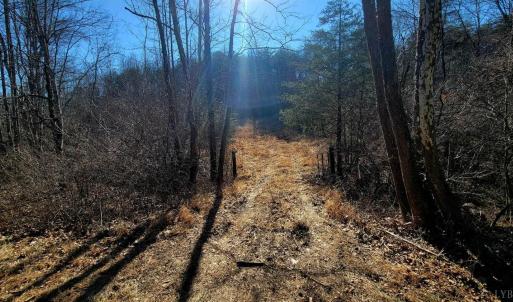 Photo #8 of Watt Abbitt Road, Appomattox, VA 26.5 acres