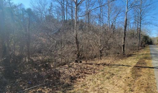 Photo #9 of Watt Abbitt Road, Appomattox, VA 26.5 acres