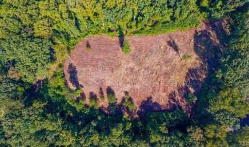 Photo #8 of 206 Waughs Landing Drive, Lynchburg, VA 6.0 acres