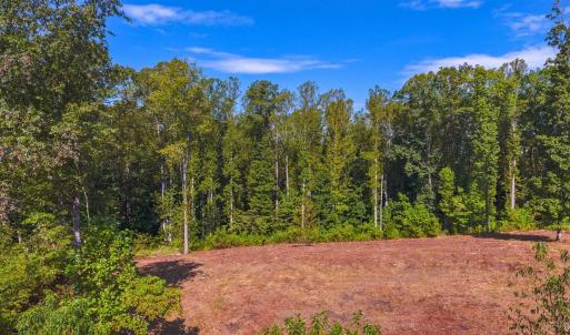 Photo #17 of 206 Waughs Landing Drive, Lynchburg, VA 6.0 acres