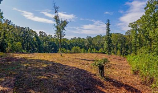 Photo #21 of 206 Waughs Landing Drive, Lynchburg, VA 6.0 acres