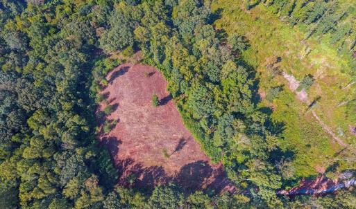 Photo #3 of 206 Waughs Landing Drive, Lynchburg, VA 6.0 acres