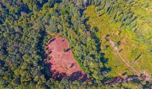 Photo #7 of 206 Waughs Landing Drive, Lynchburg, VA 6.0 acres