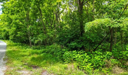 Photo #5 of Elkton Farm Rd, Forest, VA 5.0 acres