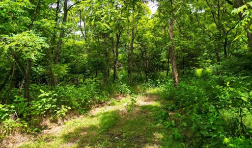 Photo #4 of Elkton Farm Rd, Forest, VA 5.0 acres