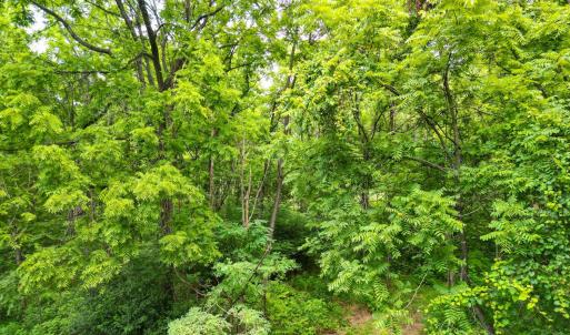 Photo #7 of Elkton Farm Rd, Forest, VA 5.0 acres