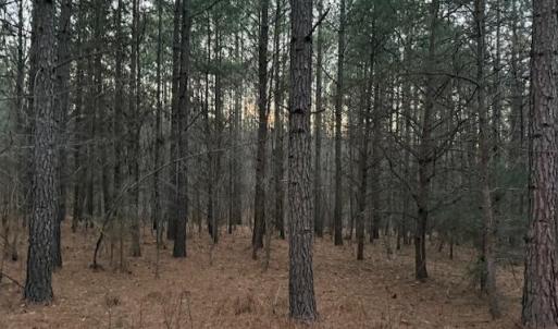 Photo #12 of Piney Mountain Road, Appomattox, VA 23.2 acres