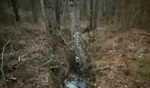 Photo #13 of Piney Mountain Road, Appomattox, VA 23.2 acres