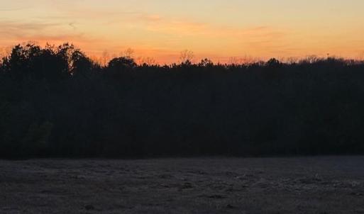 Photo #23 of Piney Mountain Road, Appomattox, VA 23.2 acres