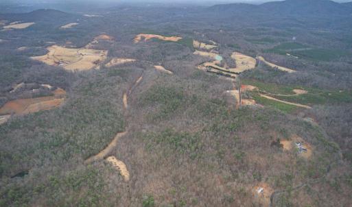 Photo #5 of 2724 Perch Road, Monroe, VA 187.2 acres