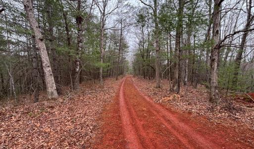 Photo #13 of 2724 Perch Road, Monroe, VA 187.2 acres