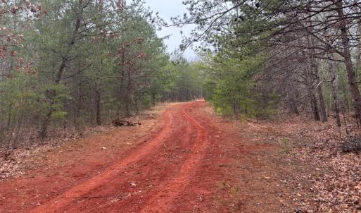 Photo #11 of 2724 Perch Road, Monroe, VA 187.2 acres