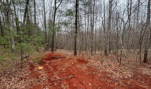 Photo #12 of 2724 Perch Road, Monroe, VA 182.2 acres