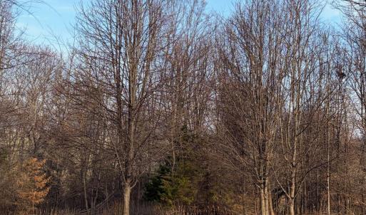 Photo #4 of Jefferson Drive West, Forest, VA 1.4 acres