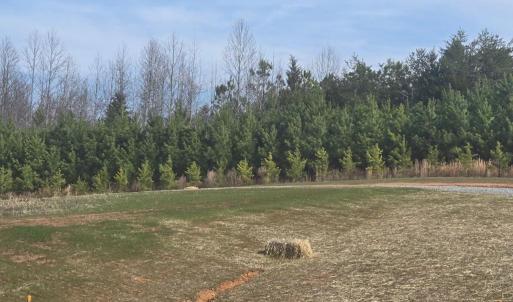 Photo #1 of Greenbay Road, Rice, VA 58.3 acres