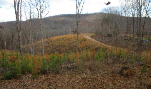 Photo #4 of 991 Kentmoor Farm Rd, Madison Heights, VA 32.0 acres