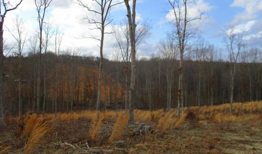 Photo #14 of 991 Kentmoor Farm Rd, Madison Heights, VA 32.0 acres