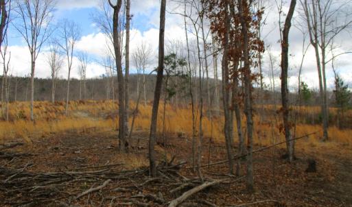 Photo #13 of 991 Kentmoor Farm Rd, Madison Heights, VA 32.0 acres