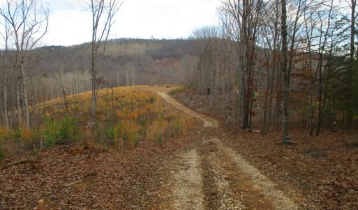 Photo #5 of 991 Kentmoor Farm Rd, Madison Heights, VA 32.0 acres