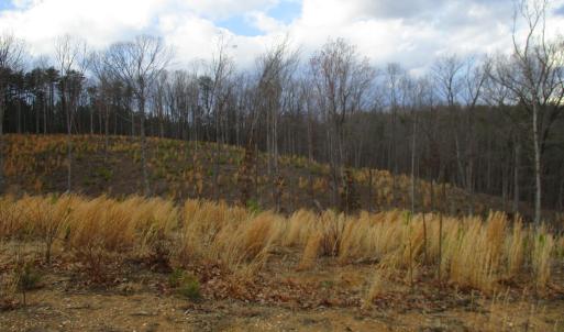 Photo #6 of 991 Kentmoor Farm Rd, Madison Heights, VA 32.0 acres