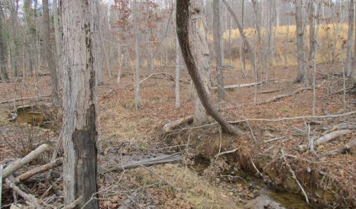 Photo #10 of 991 Kentmoor Farm Rd, Madison Heights, VA 32.0 acres