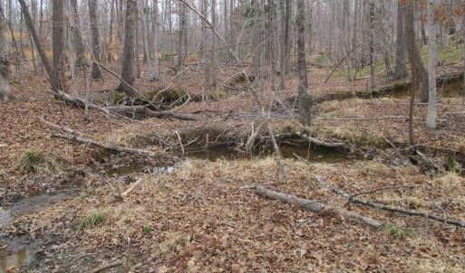 Photo #12 of 991 Kentmoor Farm Rd, Madison Heights, VA 32.0 acres