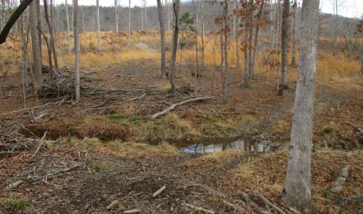 Photo #9 of 991 Kentmoor Farm Rd, Madison Heights, VA 32.0 acres