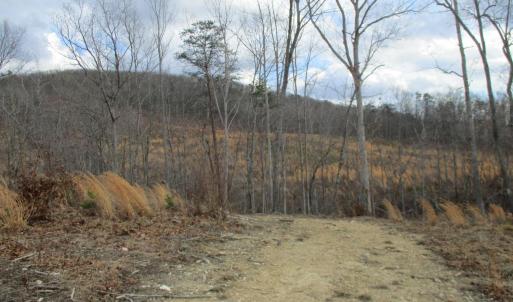 Photo #16 of 991 Kentmoor Farm Rd, Madison Heights, VA 32.0 acres