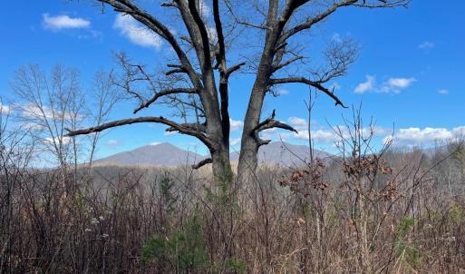 Photo #8 of Middlemont, Bedford, VA 40.0 acres