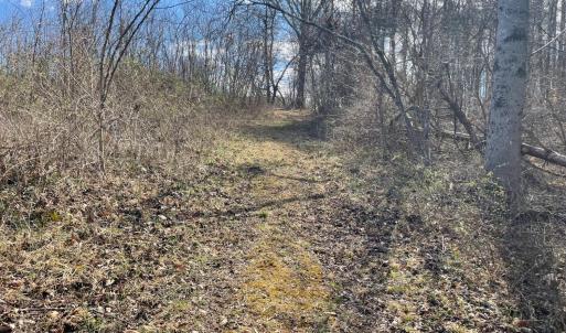 Photo #15 of Middlemont, Bedford, VA 40.0 acres