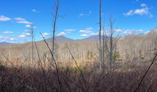 Photo #9 of Middlemont, Bedford, VA 40.0 acres