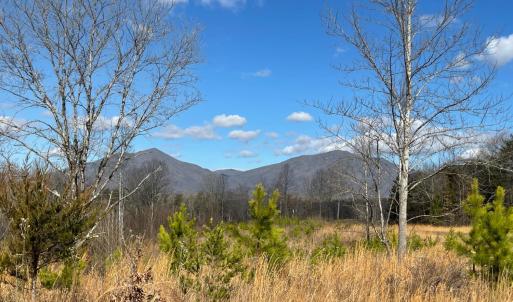 Photo #4 of Middlemont, Bedford, VA 40.0 acres