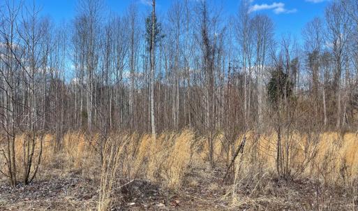 Photo #10 of Middlemont, Bedford, VA 40.0 acres