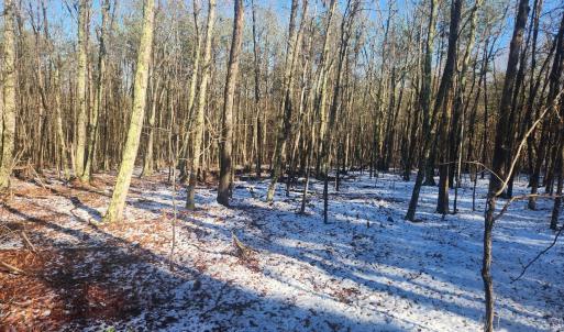 Photo #10 of Old Courthouse Road, Appomattox, VA 8.7 acres
