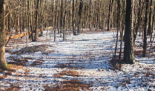 Photo #5 of Old Courthouse Road, Appomattox, VA 8.7 acres