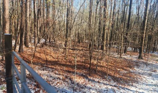 Photo #21 of Old Courthouse Road, Appomattox, VA 8.7 acres