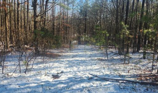 Photo #15 of Old Courthouse Road, Appomattox, VA 8.7 acres