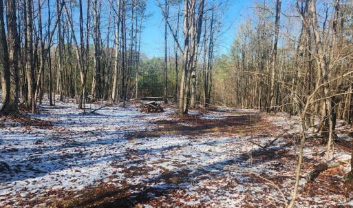 Photo #8 of Old Courthouse Road, Appomattox, VA 8.7 acres