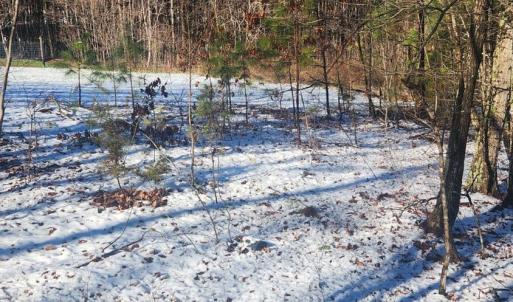 Photo #16 of Old Courthouse Road, Appomattox, VA 8.7 acres