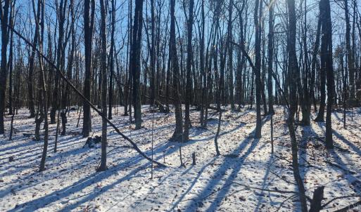 Photo #13 of Old Courthouse Road, Appomattox, VA 8.7 acres