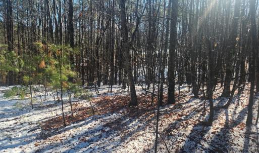 Photo #20 of Old Courthouse Road, Appomattox, VA 8.7 acres