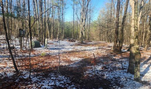 Photo #12 of Old Courthouse Road, Appomattox, VA 8.7 acres